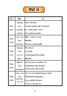 Giáo án các môn lớp 5 - Tuần 23